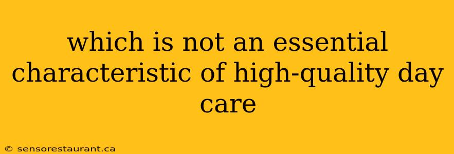 which is not an essential characteristic of high-quality day care