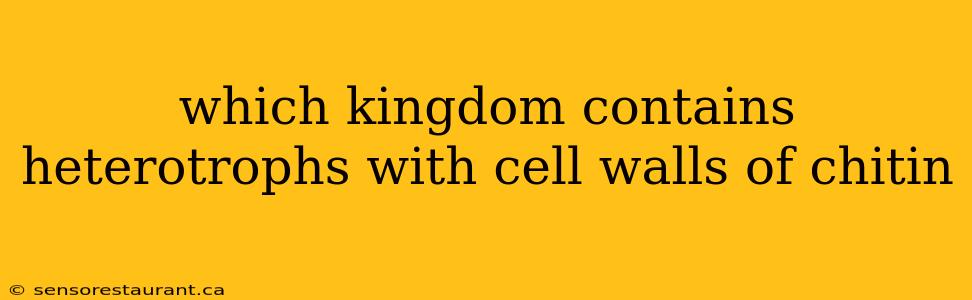 which kingdom contains heterotrophs with cell walls of chitin