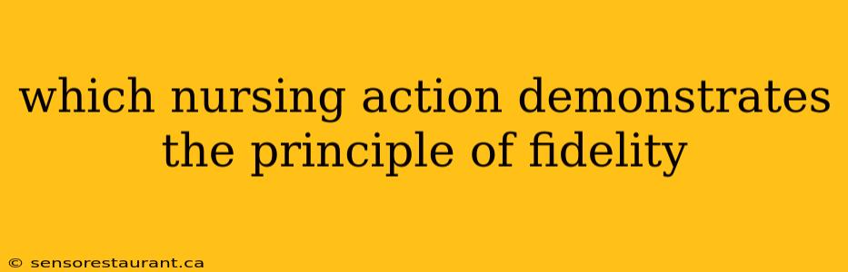 which nursing action demonstrates the principle of fidelity