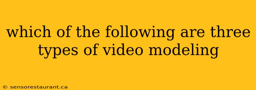 which of the following are three types of video modeling