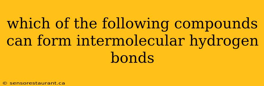 which of the following compounds can form intermolecular hydrogen bonds