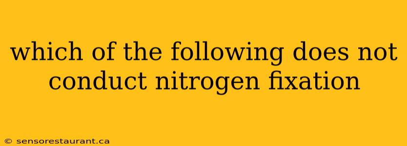 which of the following does not conduct nitrogen fixation