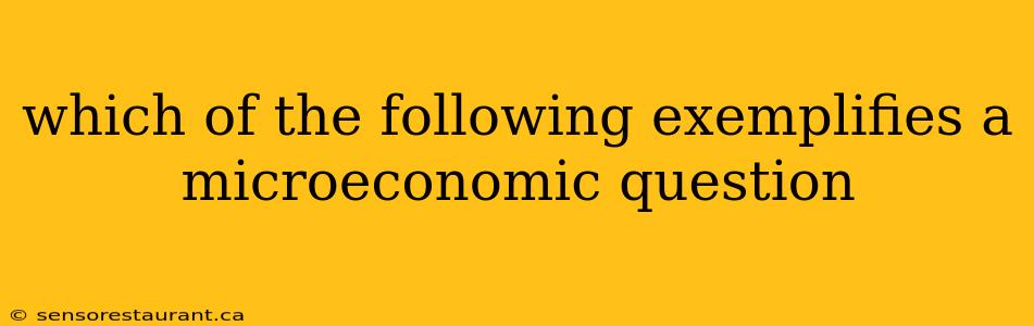 which of the following exemplifies a microeconomic question