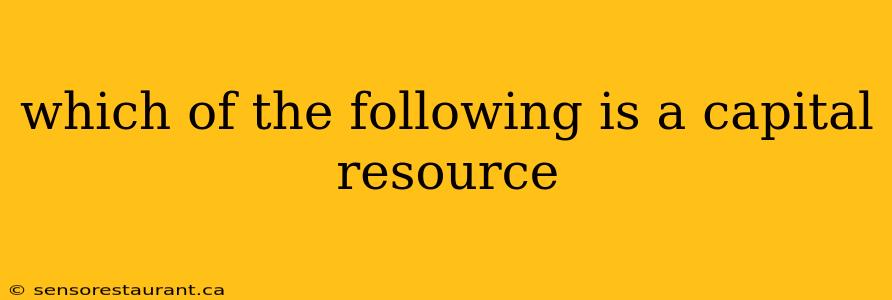 which of the following is a capital resource