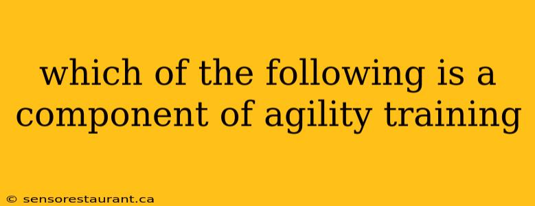 which of the following is a component of agility training