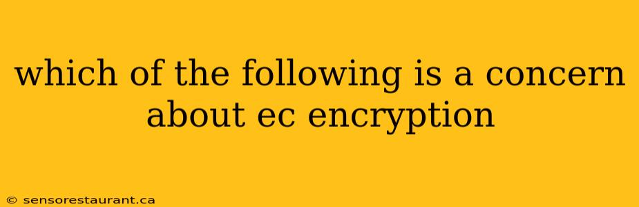 which of the following is a concern about ec encryption