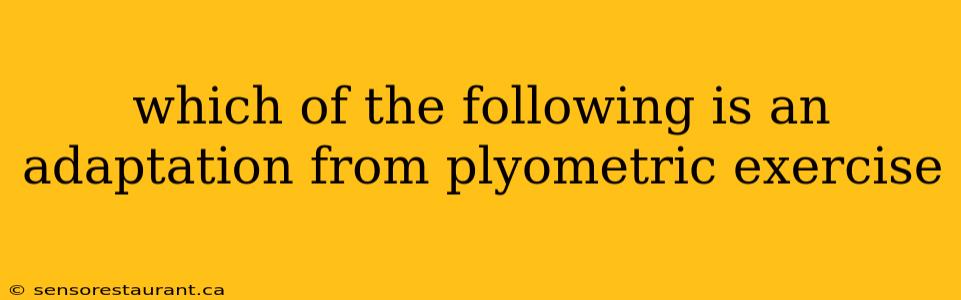 which of the following is an adaptation from plyometric exercise