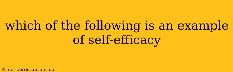 which of the following is an example of self-efficacy