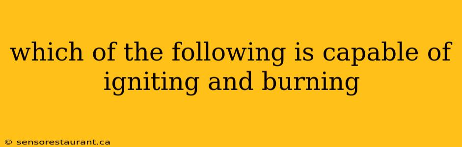 which of the following is capable of igniting and burning