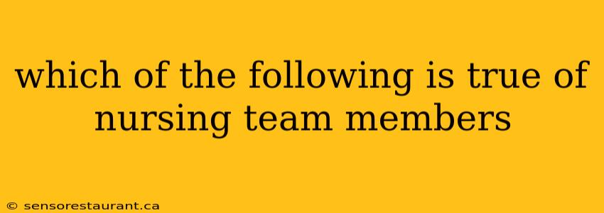 which of the following is true of nursing team members