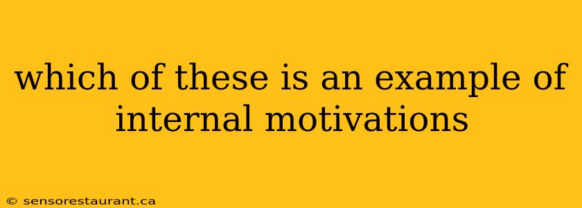 which of these is an example of internal motivations