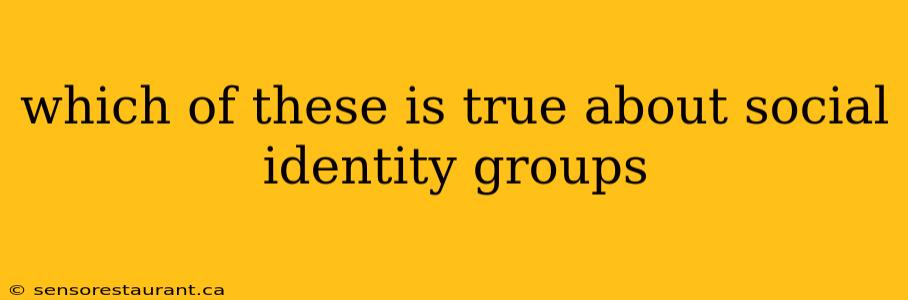 which of these is true about social identity groups