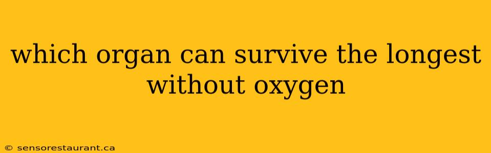 which organ can survive the longest without oxygen