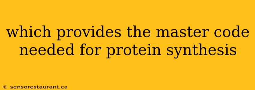 which provides the master code needed for protein synthesis