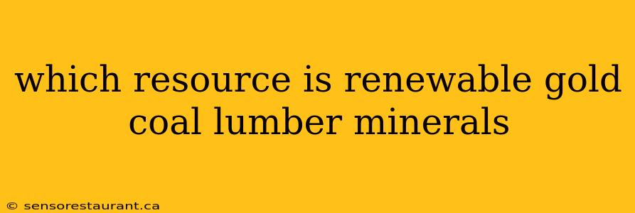 which resource is renewable gold coal lumber minerals