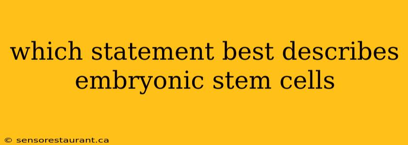 which statement best describes embryonic stem cells