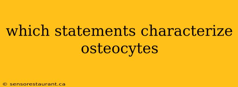 which statements characterize osteocytes