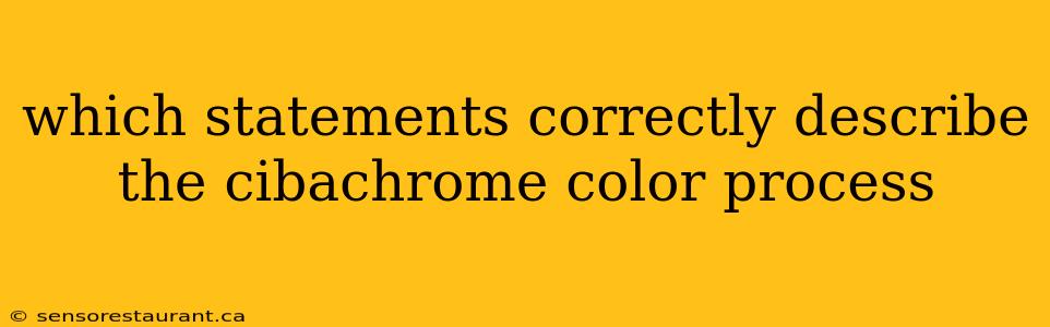 which statements correctly describe the cibachrome color process