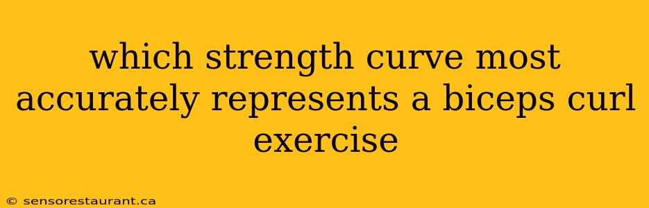 which strength curve most accurately represents a biceps curl exercise