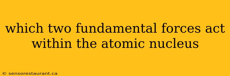 which two fundamental forces act within the atomic nucleus