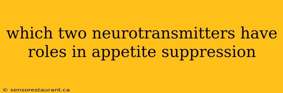 which two neurotransmitters have roles in appetite suppression