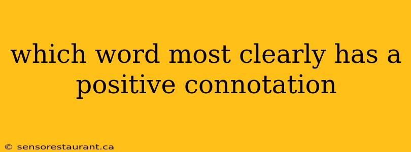 which word most clearly has a positive connotation