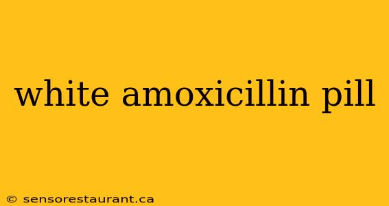 white amoxicillin pill