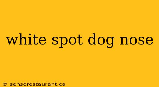 white spot dog nose