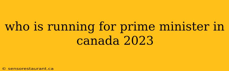 who is running for prime minister in canada 2023