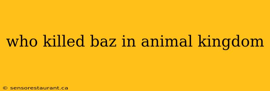 who killed baz in animal kingdom