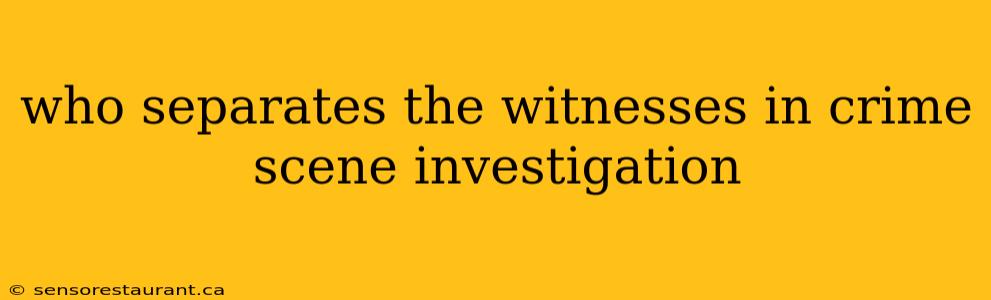 who separates the witnesses in crime scene investigation