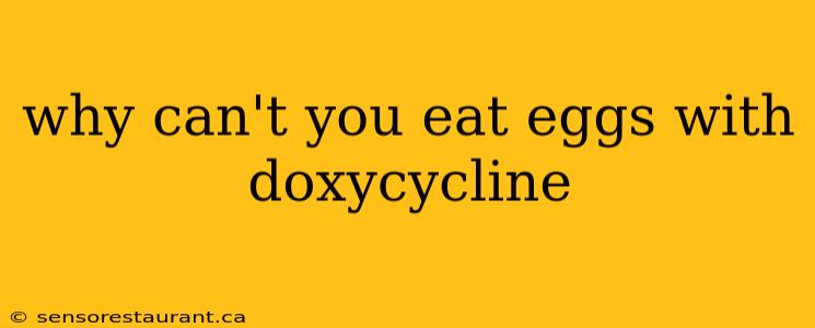 why can't you eat eggs with doxycycline