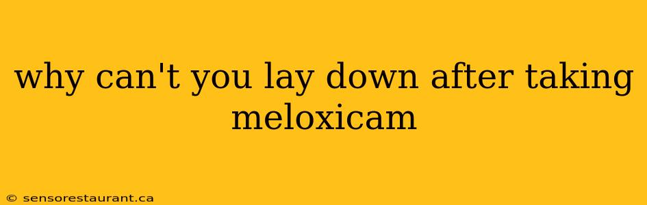 why can't you lay down after taking meloxicam