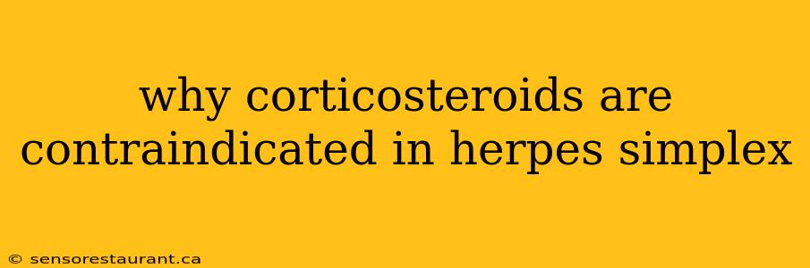 why corticosteroids are contraindicated in herpes simplex