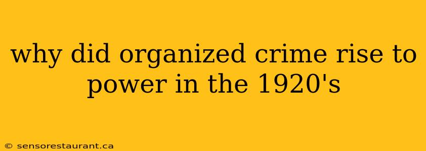 why did organized crime rise to power in the 1920's