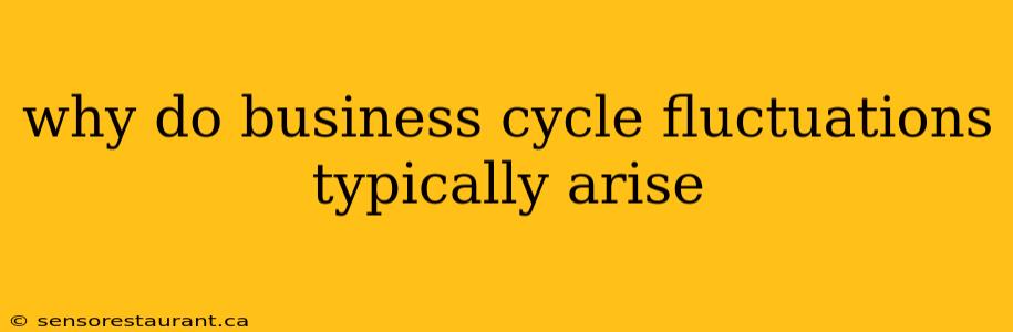 why do business cycle fluctuations typically arise