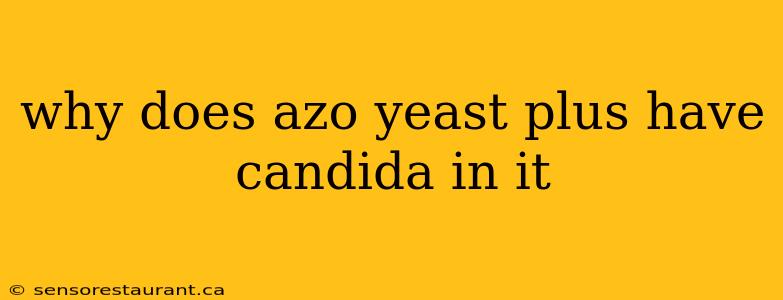 why does azo yeast plus have candida in it