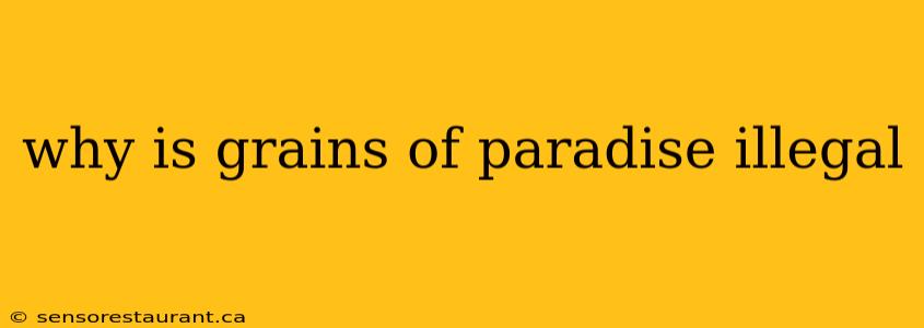 why is grains of paradise illegal