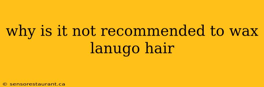 why is it not recommended to wax lanugo hair