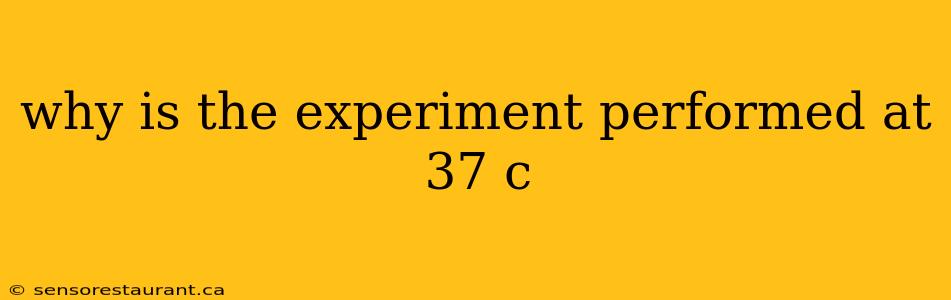 why is the experiment performed at 37 c