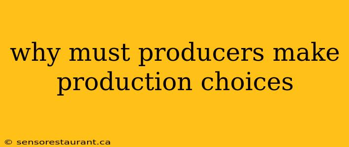 why must producers make production choices