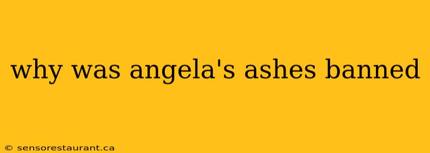 why was angela's ashes banned