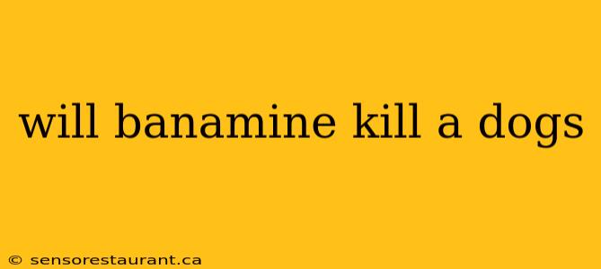 will banamine kill a dogs