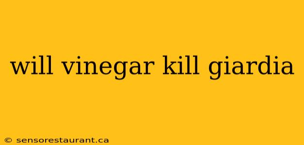 will vinegar kill giardia