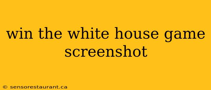 win the white house game screenshot