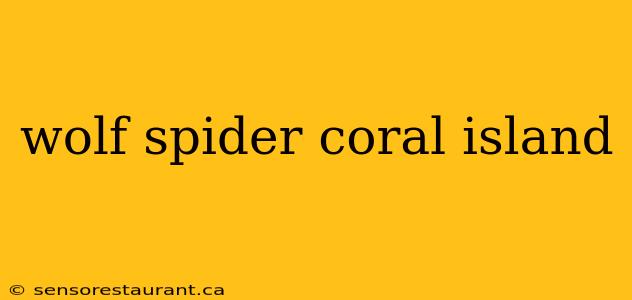 wolf spider coral island