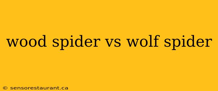 wood spider vs wolf spider