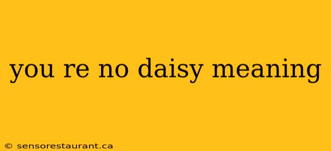 you re no daisy meaning