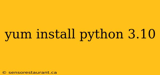 yum install python 3.10