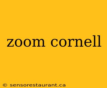 zoom cornell